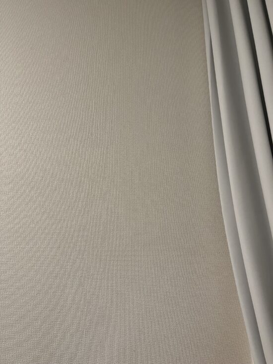 自宅の白い壁の前で撮影した背景の例